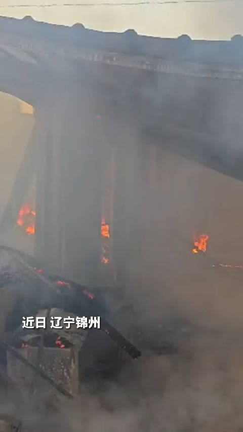 辽宁失火事件深度解析