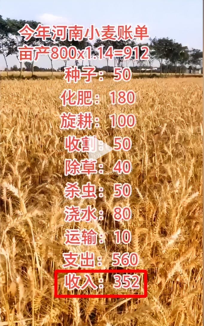 女子在上海用餐两瓶矿泉水被收176元，消费透明与公平引热议
