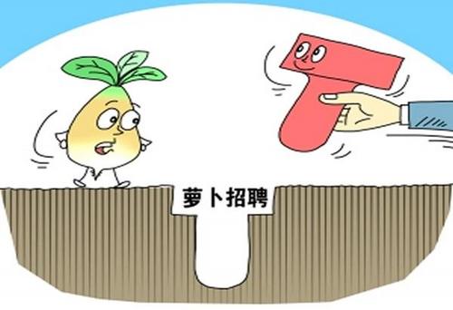 高校萝卜招聘，现象背后的深度解读