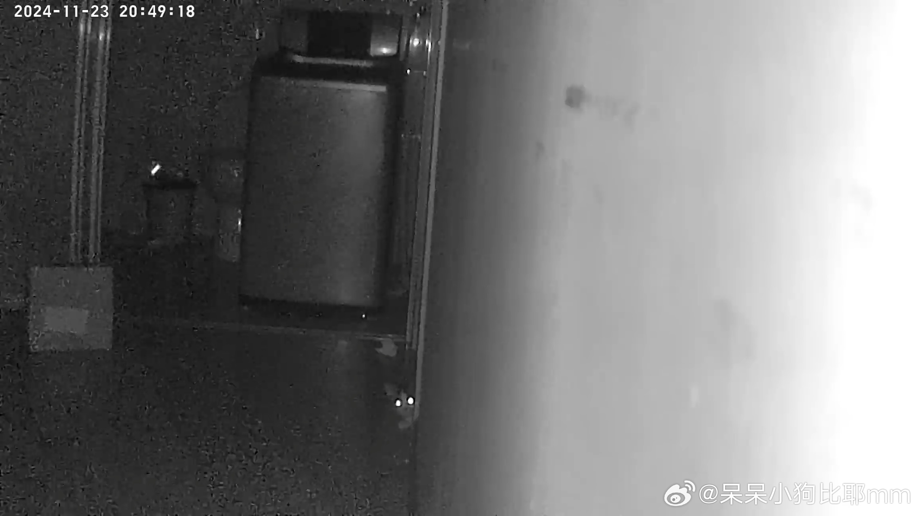 半夜摄像头传口哨声，神秘事件揭秘