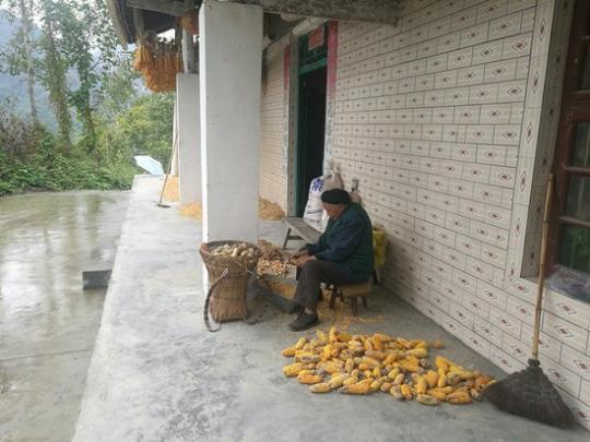 霓虹灯下的回忆  