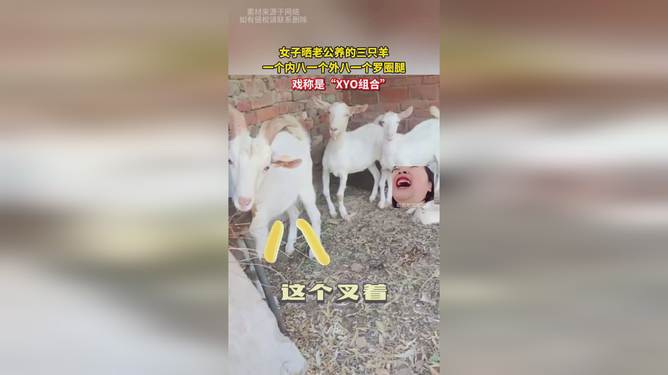 梦想之翼