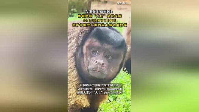 迷失的星辰  