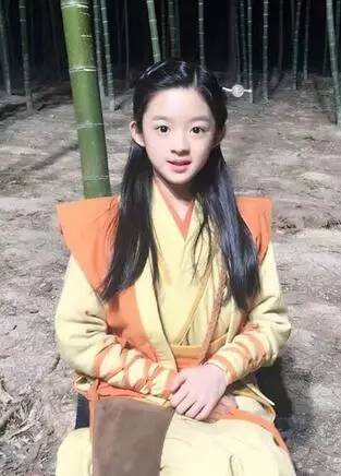 黄杨钿甜父亲涉7亿项目未招商成功的背后