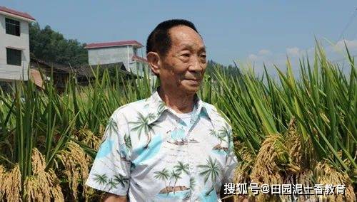 袁隆平的夫人近况