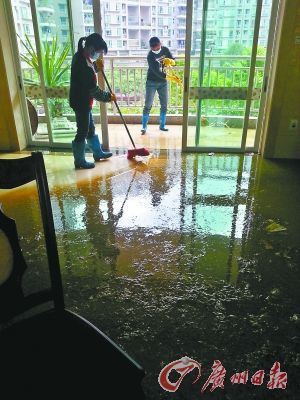 新房遭遇粪水泡预示，解读背后的深层含义