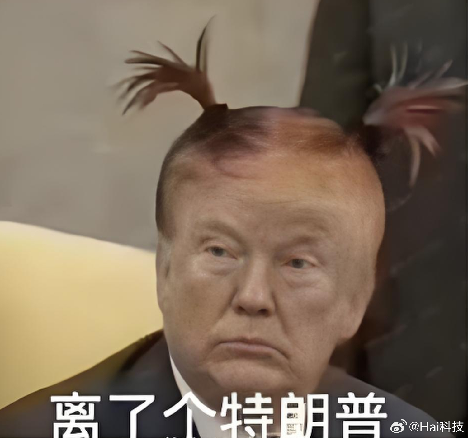 特朗普杀疯了，一场风暴的前世今生