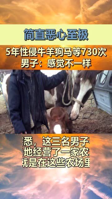 震惊！男子性侵马匹被捕事件深度解析