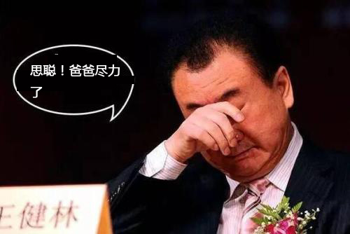 王健林断腕式自救能走多远