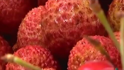 女子1天内吃10斤荔枝患上荔枝病，揭示荔枝的健康食用之道