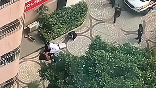 痛心！21岁女子从30楼坠亡，背后的故事令人深思