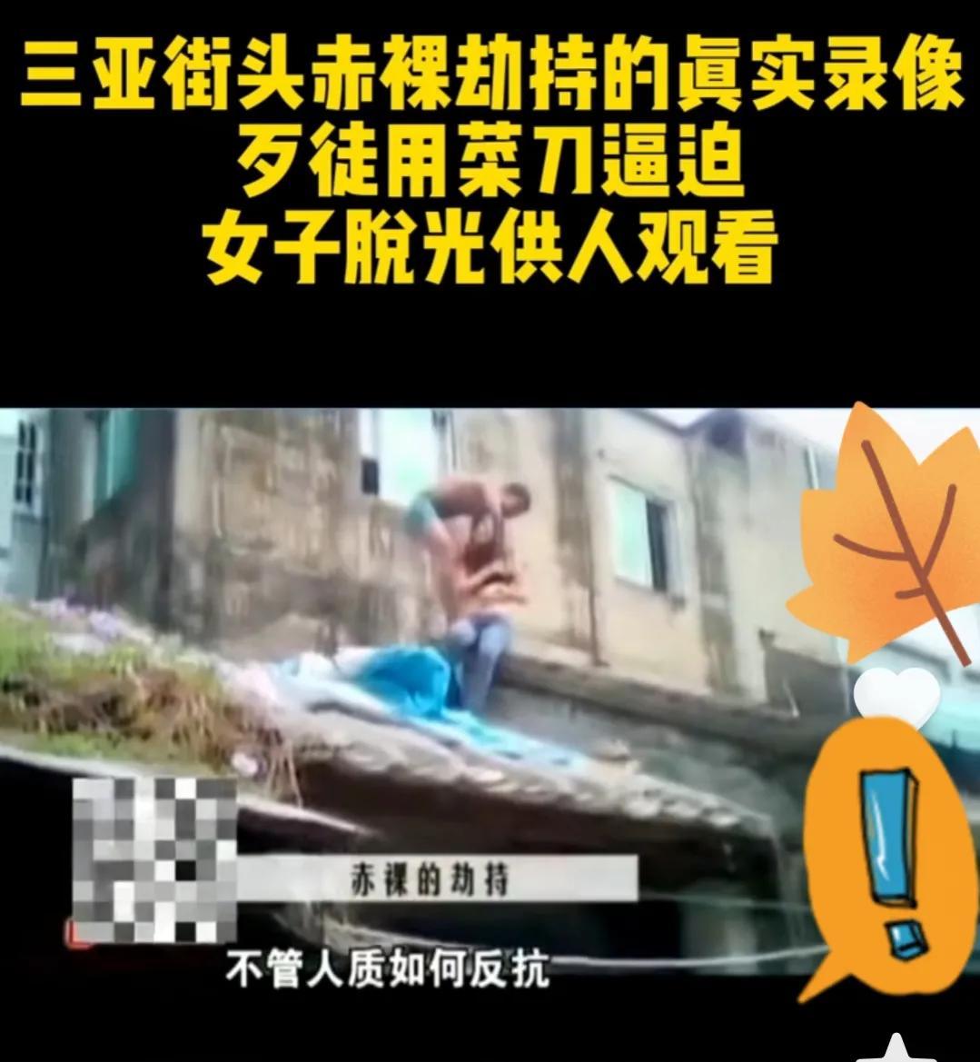 三亚被劫持女子事件深度解析