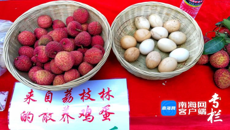 海口单颗荔枝王拍卖出天价，6.8万元高价背后的故事