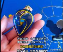 中国海大海水吊坠被标价5000元出售中国海大海水吊坠，价值5000元的独特海洋魅力