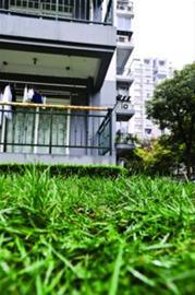 15层坠楼奇迹生还奇迹生还！从15层坠楼如何逃过一劫？