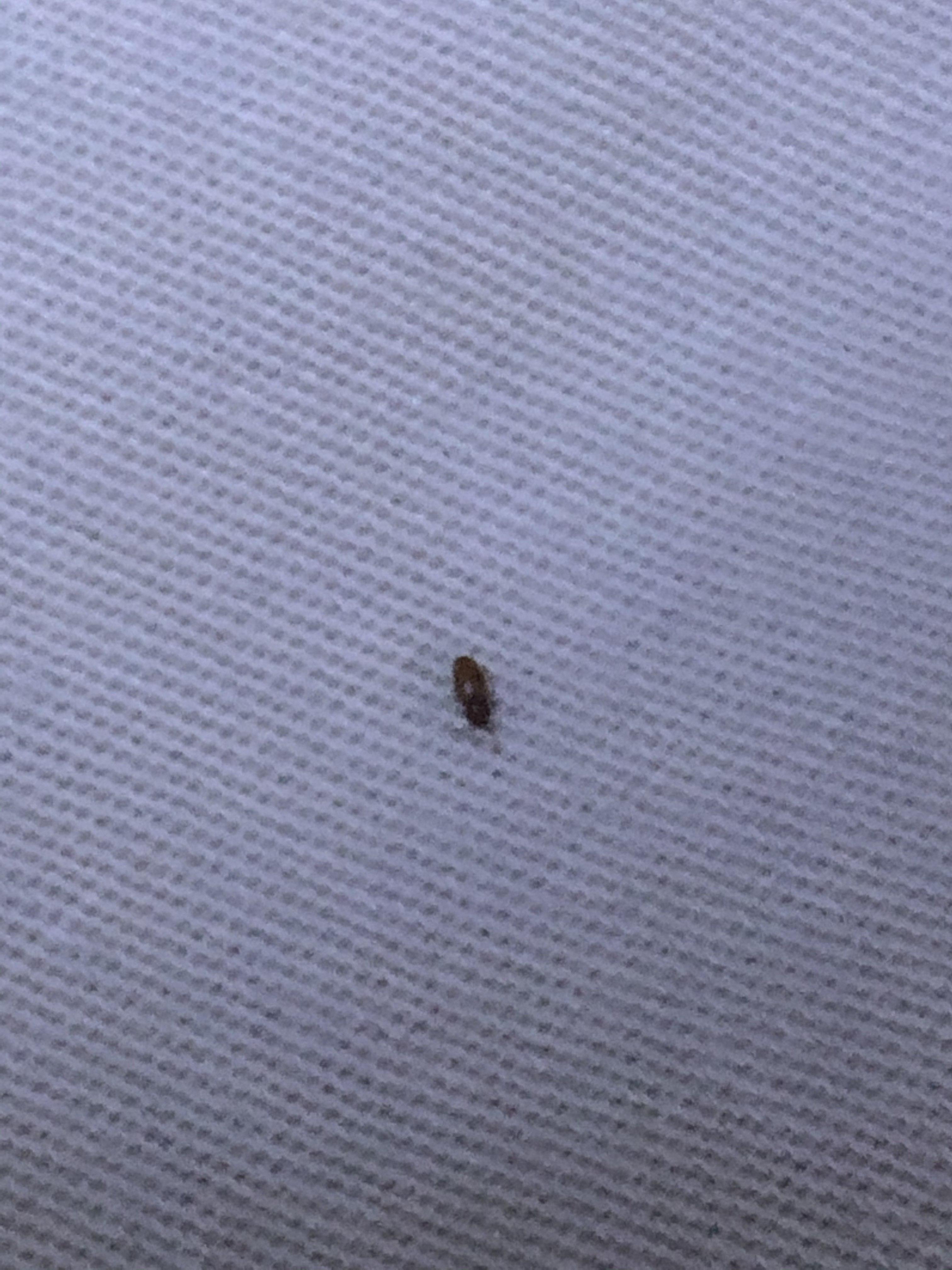 第1272页