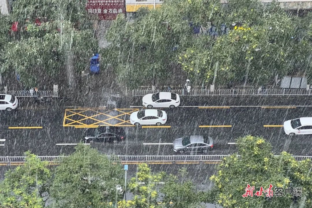 “没见过甘肃下这么大的雨”罕见！甘肃遭遇罕见大雨，背后的故事令人惊叹