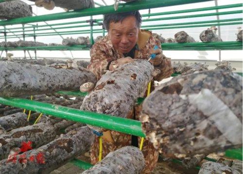 正常人的指标范围怎么确定正常人的指标范围是通过多种方法确定的，包括统计学方法、临床经验、生理生化原理等。具体确定过程如下