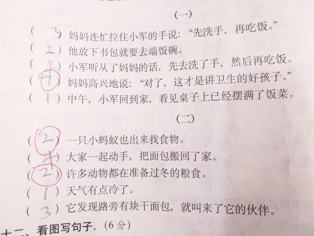 作业被撕了作文